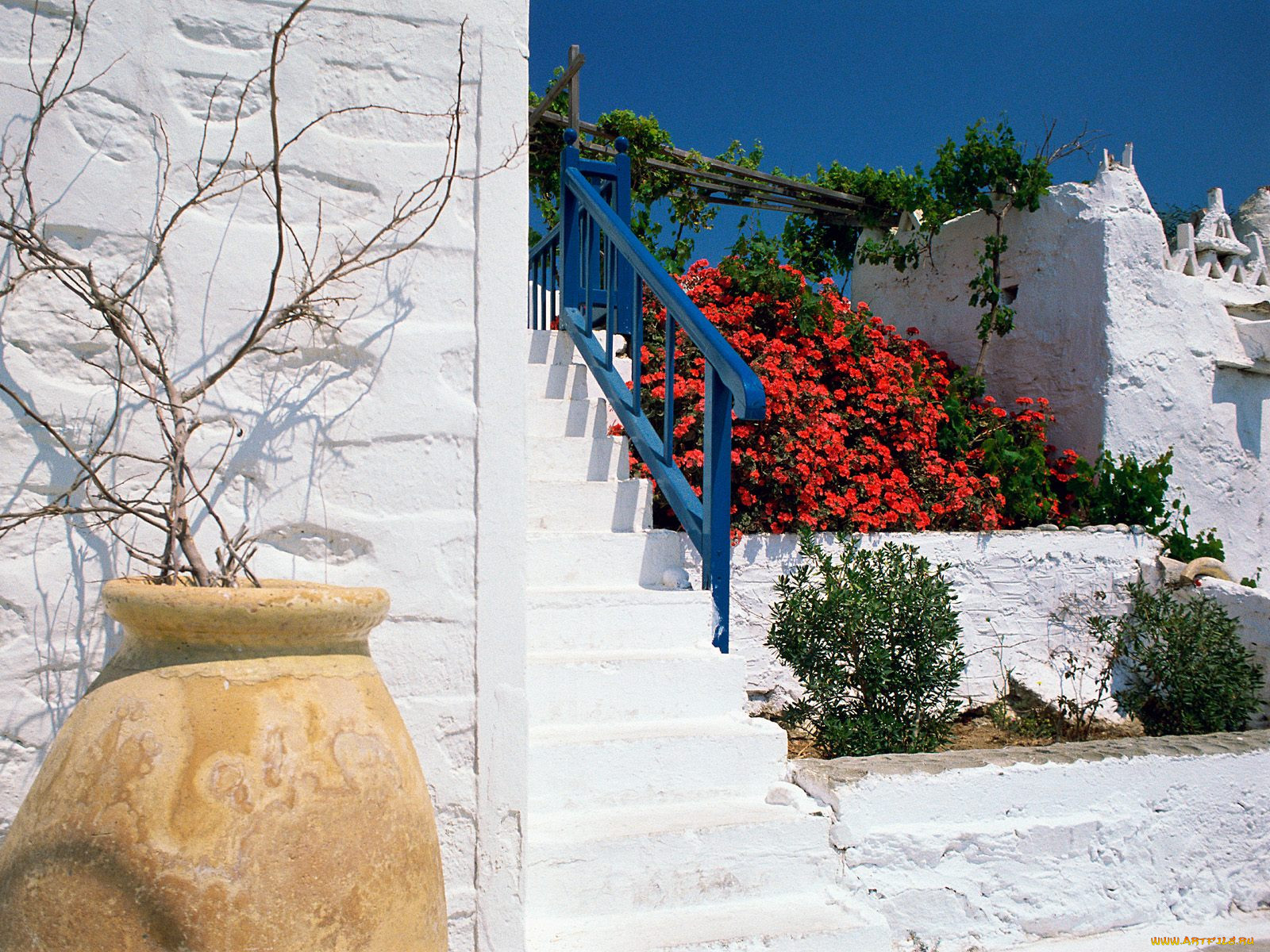 garden, view, 